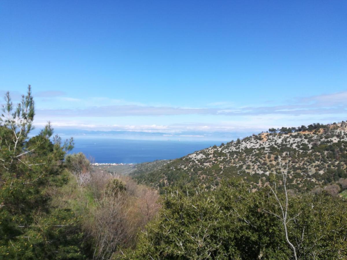 SotirEden View公寓 外观 照片