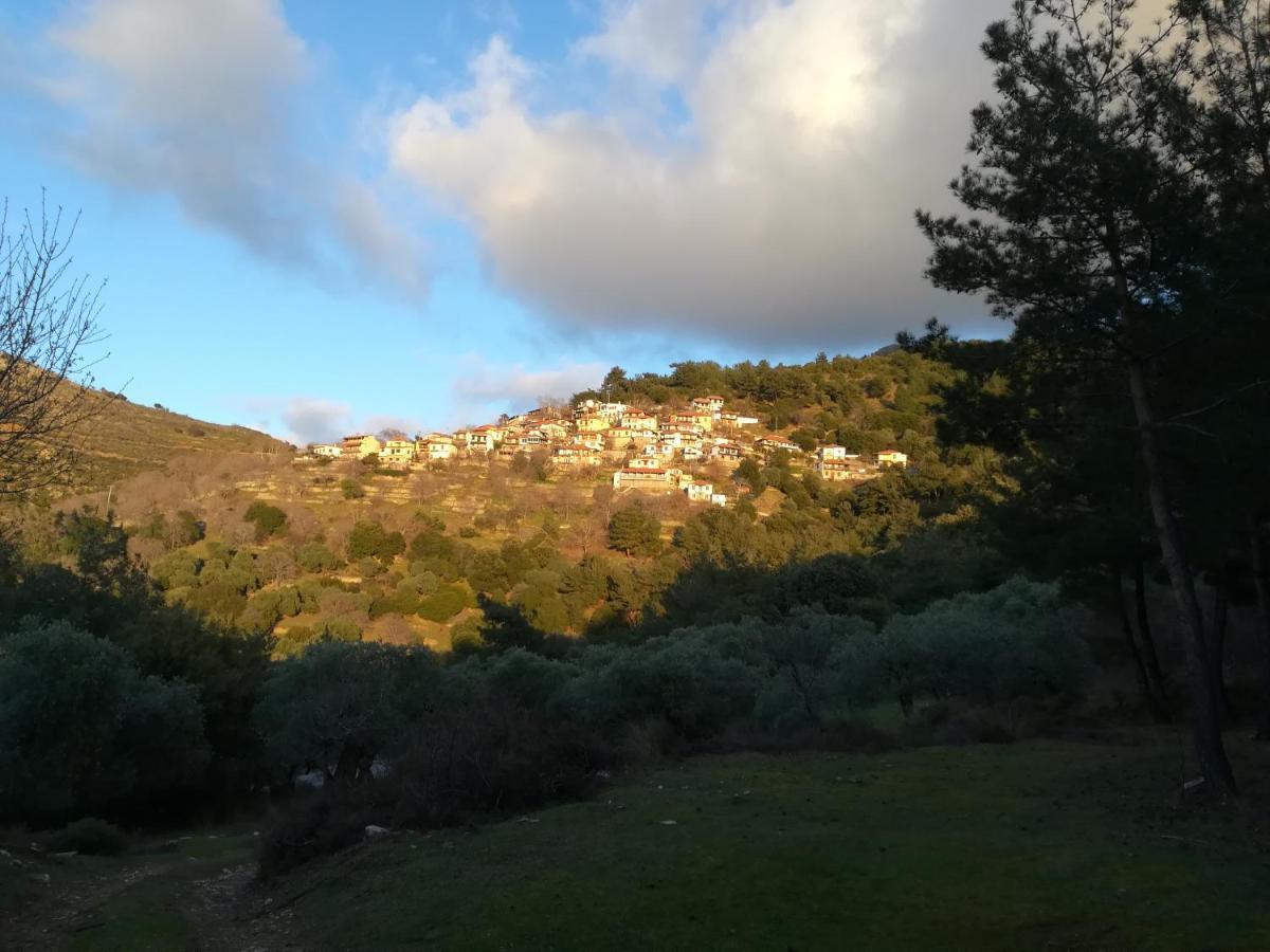 SotirEden View公寓 外观 照片